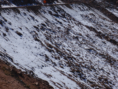 Tracks from Big Horn Sheep or Mountain Goats.